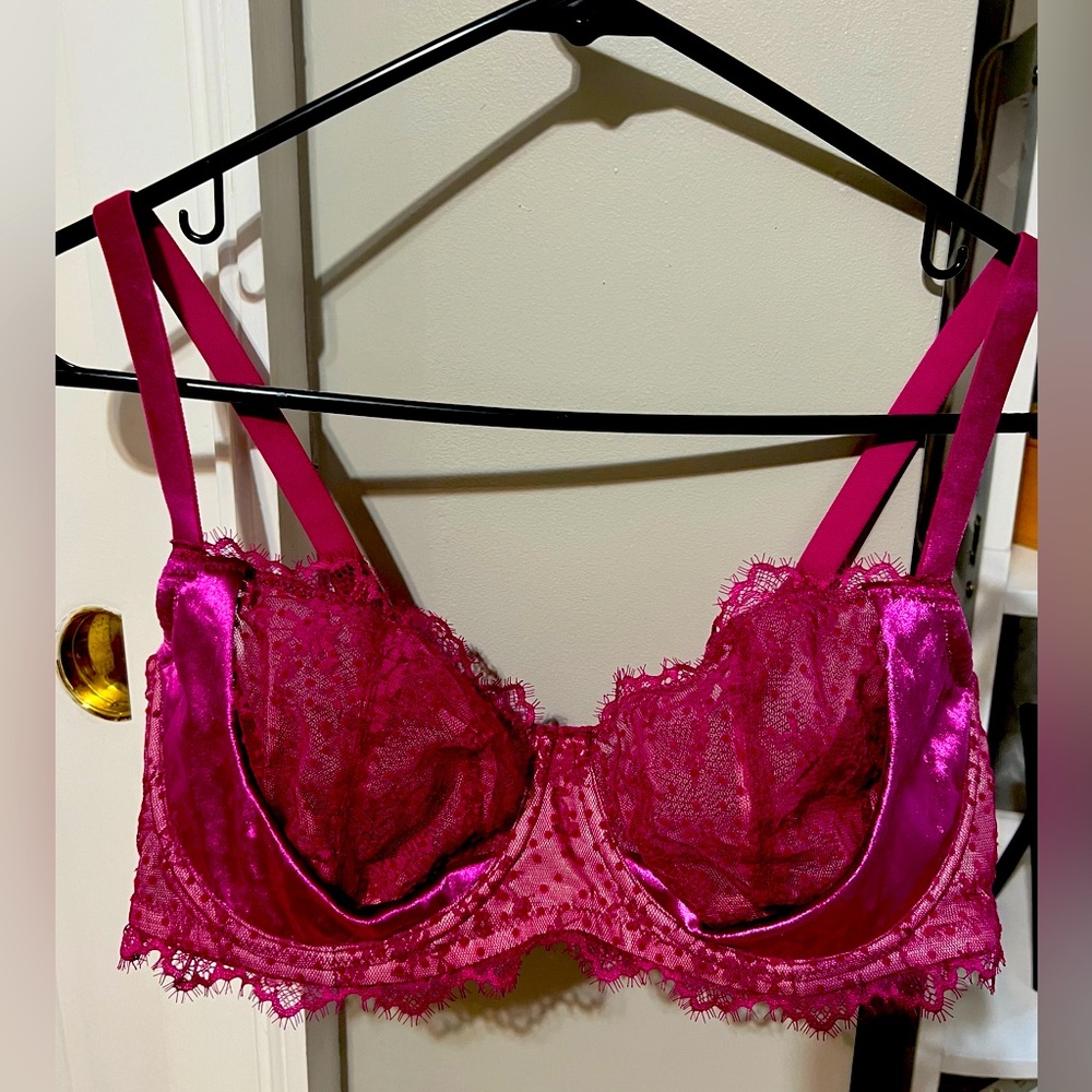 Velvet lace wicked bra 36DD